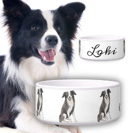 Border Collie Zeichnend Name des Hundes Napf