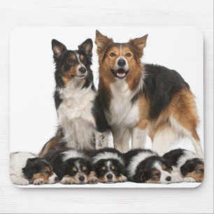 Border-Colliefamilie Mousepad