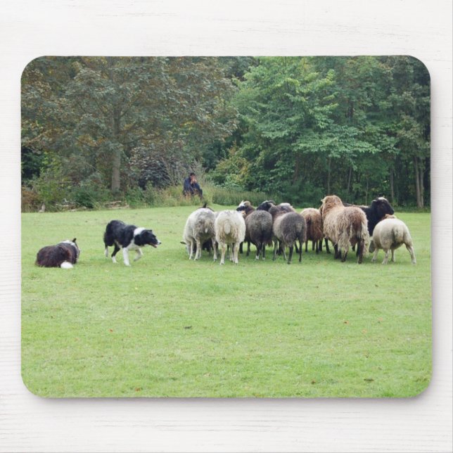 Border-Colliefunktion Mousepad (Vorne)