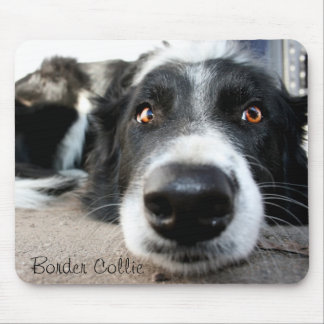Border-CollieMausunterlage Mousepad