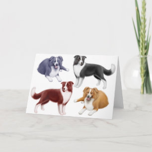 Border Collies Greeting Card Karte