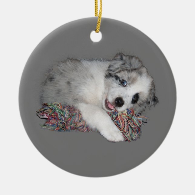 Border-Colliewelpen-Blau merle Keramikornament (Vorne)