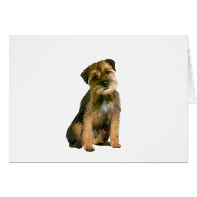 Border terrier (B) (Devant horizontal)