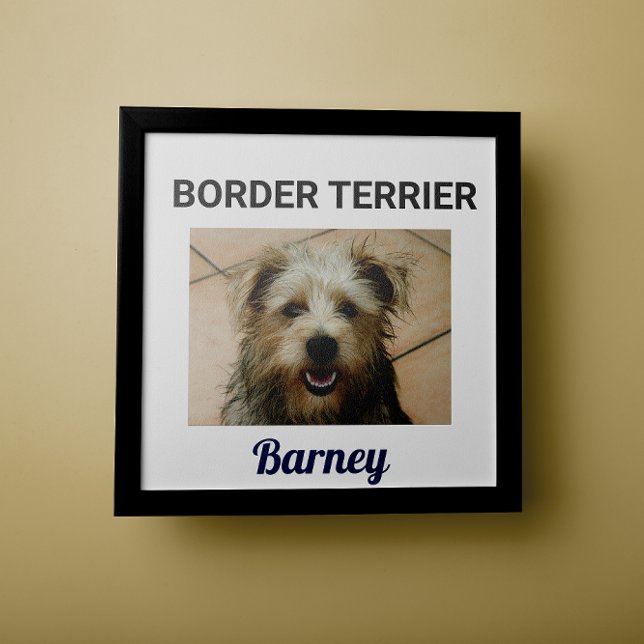 Border Terrier Custom Dog Poster (Von Creator hochgeladen)