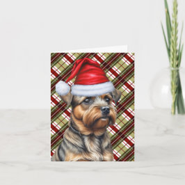 Border Terrier Dog Saisonale Karierte Weihnachten