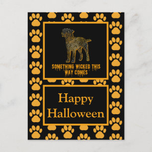Border Terrier Dog Silhouette Halloween Orange Postkarte