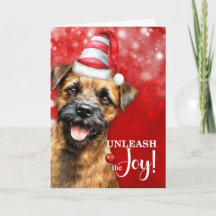 Border Terrier Hund Lass die Freude zu Weihnachten