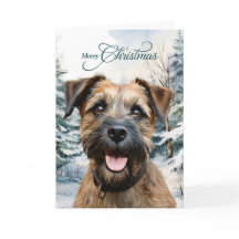 Border Terrier Hund Wald Weihnachten