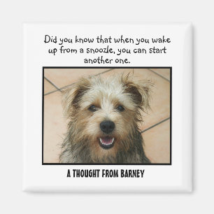 Border Terrier Personalized Custom Magnet