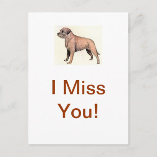 Border Terrier Postkarte