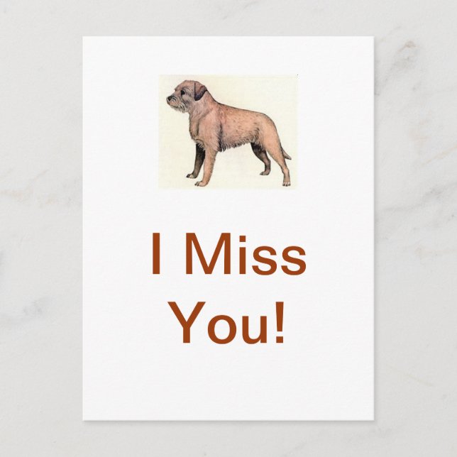 Border Terrier Postkarte (Vorderseite)