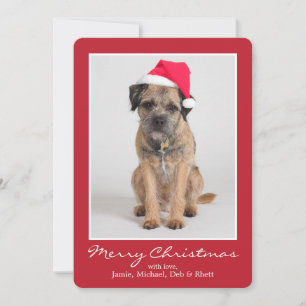 Border Terrier Wearing A Santa Hat Feiertagskarte