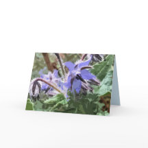 Bordestar-Blume-Holzblock-Effekt-Blindkarte