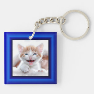 Bordure bleue de la photo de 2 cats