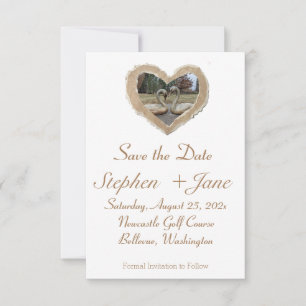 Bordure Brown Swan in Heart Enregistrer la carte d