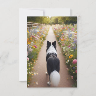 Bordure Collie carte à note plat avec enveloppe