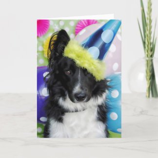 Bordure Collie Carte d'anniversaire