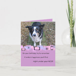 Bordure Collie Carte de voeux Anniversaire
