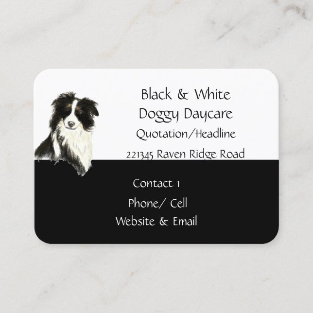 Bordure Collie Chien Animal Carte de visite d'aqua (Devant)
