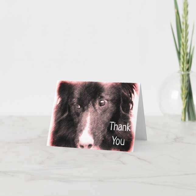 Bordure Collie Face Chien Carte de remerciements d (Devant)