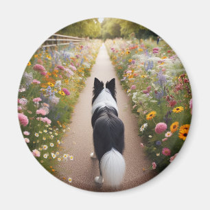 Bordure Collie Magnet