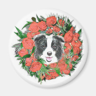 Bordure Collie Magnet de Noël