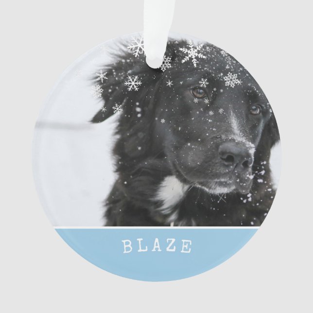 Bordure Collie Noël Personnalisé Animaux de compag (devant)