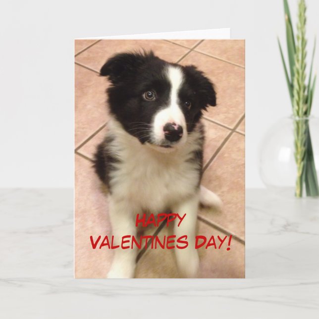 Bordure Collie Puppy Carte Saint Valentin (Devant)