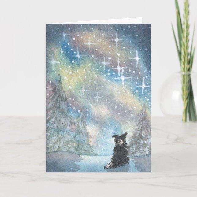 Bordure Collie Regarde Starry Sky, CARTE Vacances (Devant)