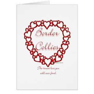 Bordure Collie Véritable Amour