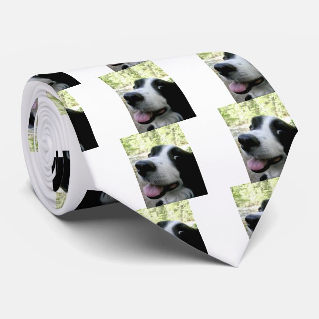 Bordure homme Collie Cravate de soie (Roulé)