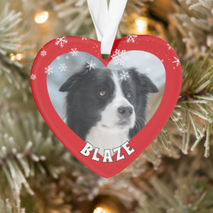 Bordure personnalisée Collie Noël Chien de Noël An