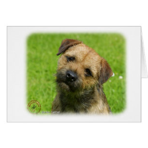 Bordure Terrier 9W009D-127