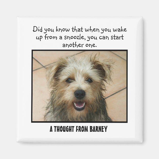 Bordure Terrier Personnalisé Magnet personnalisé (Devant)