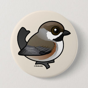 Boreal Chickadee Button