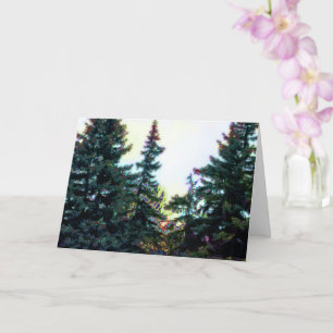 Boreal Forest Trees Canada Künstlerisch Artistic C Karte