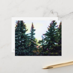 Borealwald Bäume Kanada Künstlerisch Kunstvoll Far Postkarte