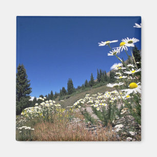 Boreas Pass, Breckenridge, U.S.A. am Cornish R Magnet