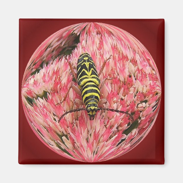 Borer de criquet 3 ~ aimant (Devant)