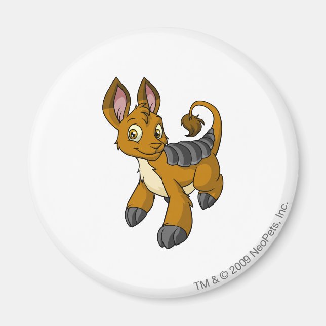 Bori Brown Magnet (Vorne)