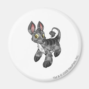 Bori Checkered Magnet