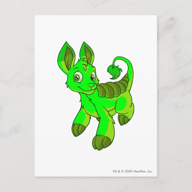Bori Glows Postkarte (Vorderseite)