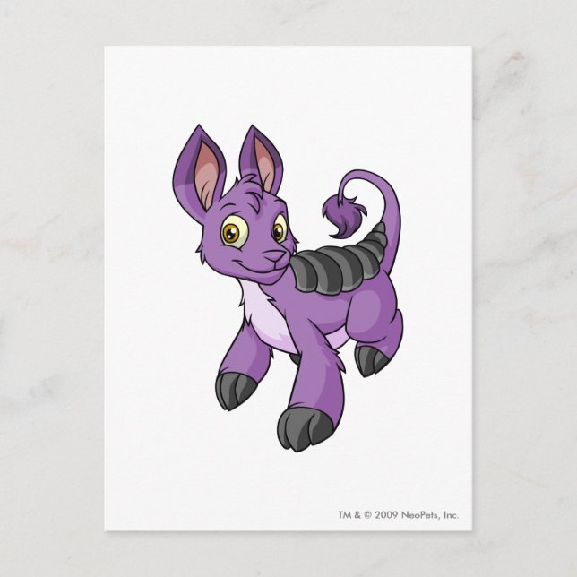 Bori Lila Postkarte (Vorderseite)