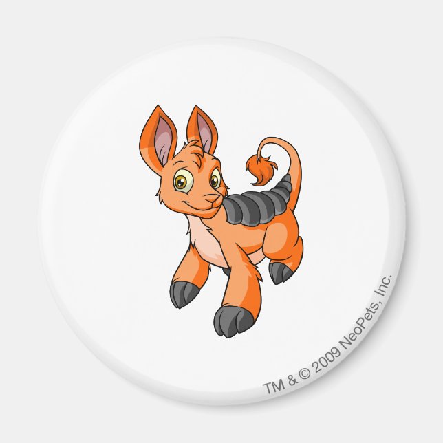 Bori Orange Magnet (Vorne)