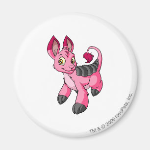 Bori Rosa Magnet