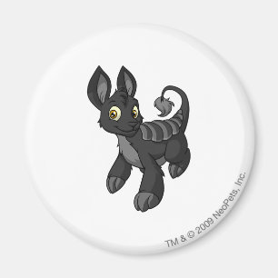 Bori Schatten Magnet