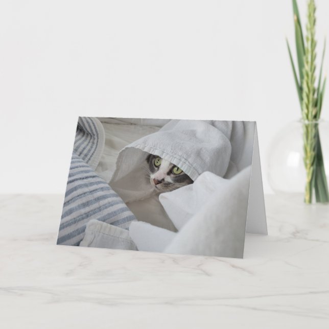 Boris the Niedlich Nubber Kitty Greeting Card Dankeskarte (Vorderseite)