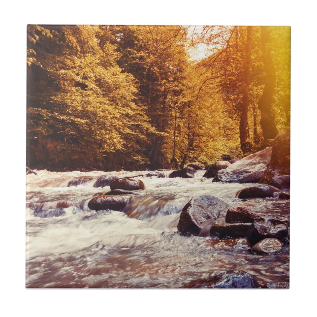 Borjomi, Georgien Fliese (Vorderseite)