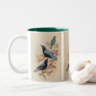 Bornean Fairy Bluebird von John Gould Zweifarbige Tasse