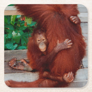 Borneo-Orang-Utan Rechteckiger Pappuntersetzer
